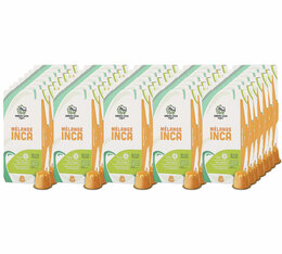 400 capsules compatibles Nespresso* Original Le Mélange Inca bio pour professionnels - GREEN LION COFFEE