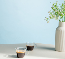 two lungo coffees served with smooth crema and intense aromas