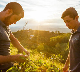 Elias et Shady Bayter a la ferme El Vergel Estate producteurs du cafe Castillo Vanilla Fudge