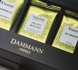 authentique nouveau coffret the dammann freres