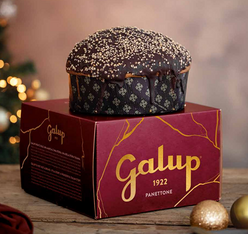 panettone galup giandujotti