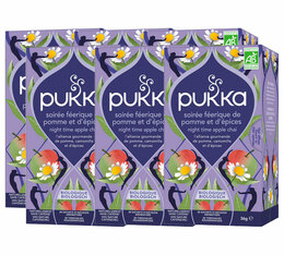 Infusion pour professionnels Soirée féérique de pommes et d'épices Bio - 6 x 20 sachets - PUKKA