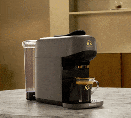 machine capsules or absolu