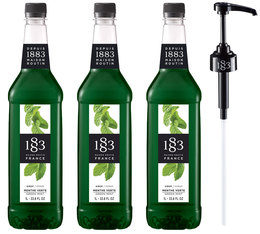 Lot sirop pour professionnel Menthe Verte - Bouteille Plastique - 3 x 1L + Pompe doseuse - 1883 ROUTIN