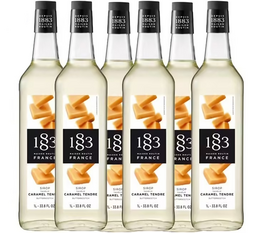 Lot de 6 Sirops pour professionnel Caramel Tendre - 6x1L - 1883 ROUTIN