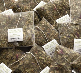 tisane des merveilles sachet dammann freres