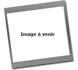 Infusion Lagon Bleu - 1KG - ID STORE - Comptoir Français du Thé