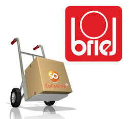 Forfait Transport Allez-Retour SAV BRIEL FRANCE