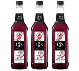 Sirop pour professionnels Fruit du dragon - 3 x 1 L - Bouteille plastique - ROUTIN
