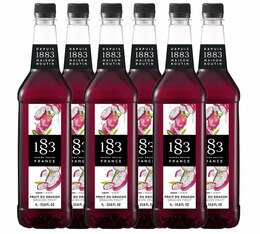 Sirop pour professionnels Fruit du dragon - 6 x 1 L - Bouteille plastique - ROUTIN