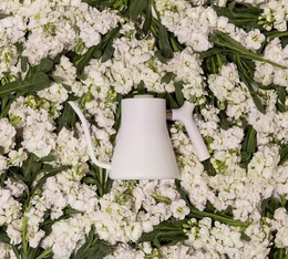 bouilloire traditionnelle stagg blanc