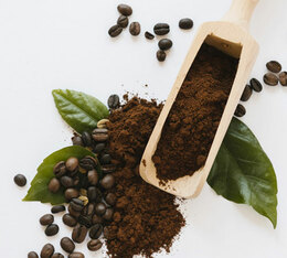 café en grain tchanqué 