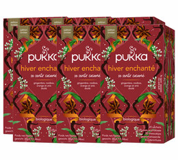 Infusion pour professionnels Hiver Enchanté Bio -  6 x 20 sachets - PUKKA