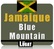 250 g - Café en grain - Blue Mountain Jamaïque - CAFÉS LUGAT