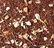rooibos hiver austral compagnie and co
