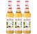 Sirops Vanille (french vanilla) pour professionnel 3 x 70cl - MONIN