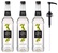 Lot de 3 Sirops Sucre de Canne pour professionnel- Bouteille Plastique - 3x1L + Pompe doseuse 1883 ROUTIN