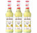 Sirop fleur d'immortelle pour professionnels - 3 x 70cl - MONIN