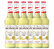 Sirop fleur d'immortelle pour professionnels - 6 x 70cl - MONIN