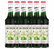 Concentré de thé vert matcha - 6 x 70cl - MONIN