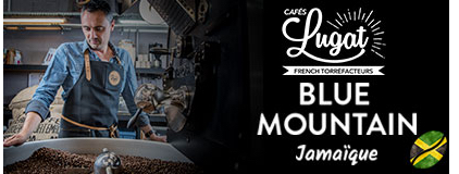 café blue mountain