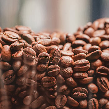 Wholesale coffee beans 