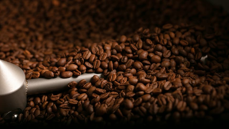 coffee bean