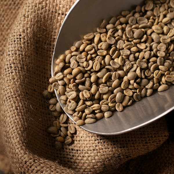 Our sourcing