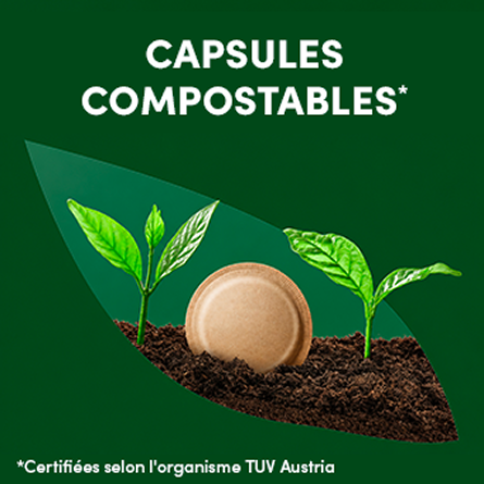 capsules dolce gusto nescafe compostables
