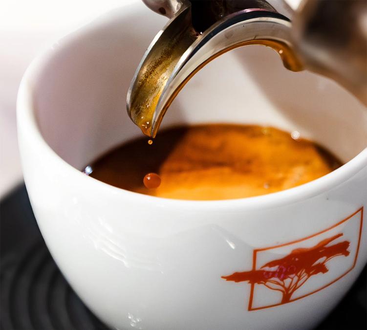 Tasting Water Decaf coffee with notes of honey and cocoa