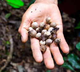 contenitore pe ril caffe da 1 kg ecologico