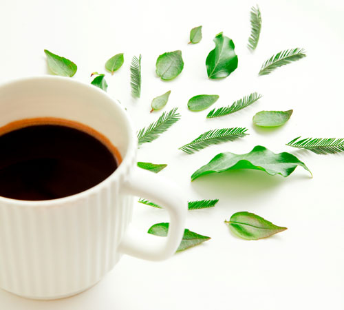 pack decouverte de cafes en grain bio Green Lion Coffee