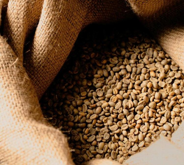 green coffee beans brazil