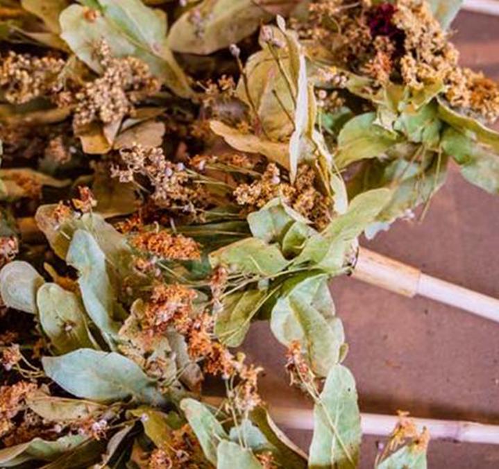 Organic Blooming Tea Horae