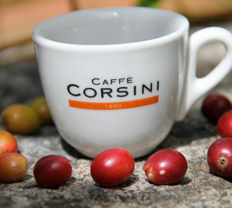 corsini coffee cup