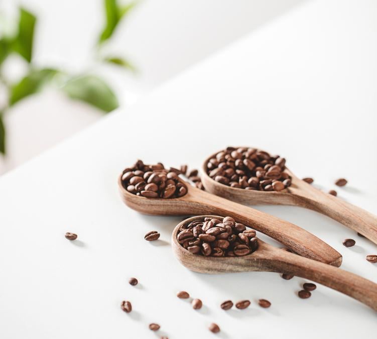 Caturra Castillo varieties Colombia coffee