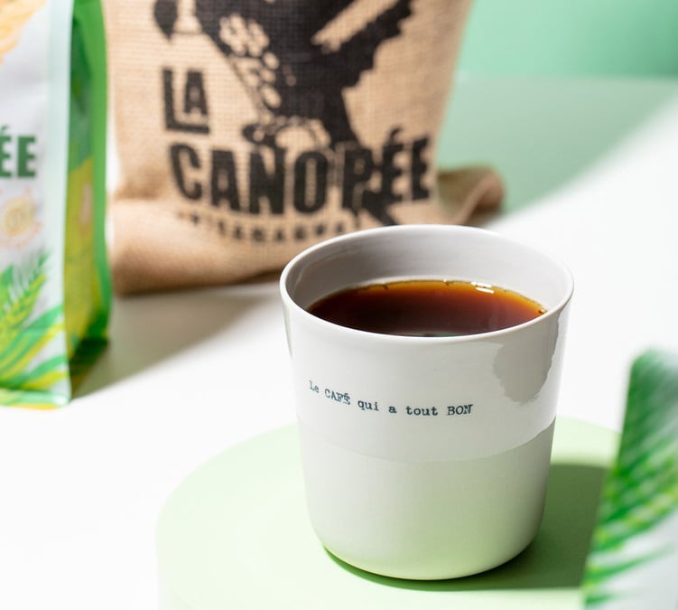 caff&egrave; in grani green lion coffee da agroforestazione la canopee