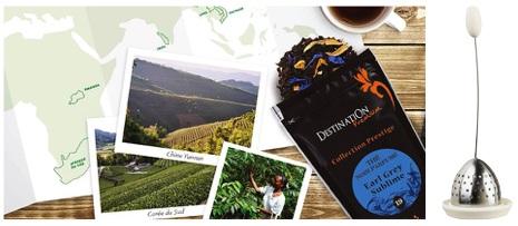 Infuseur &agrave; th&eacute; destination