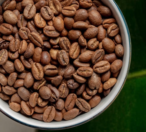 gros plan sur un grain de caf&eacute; bio Green Lion Coffee en lumi&egrave;re naturelle