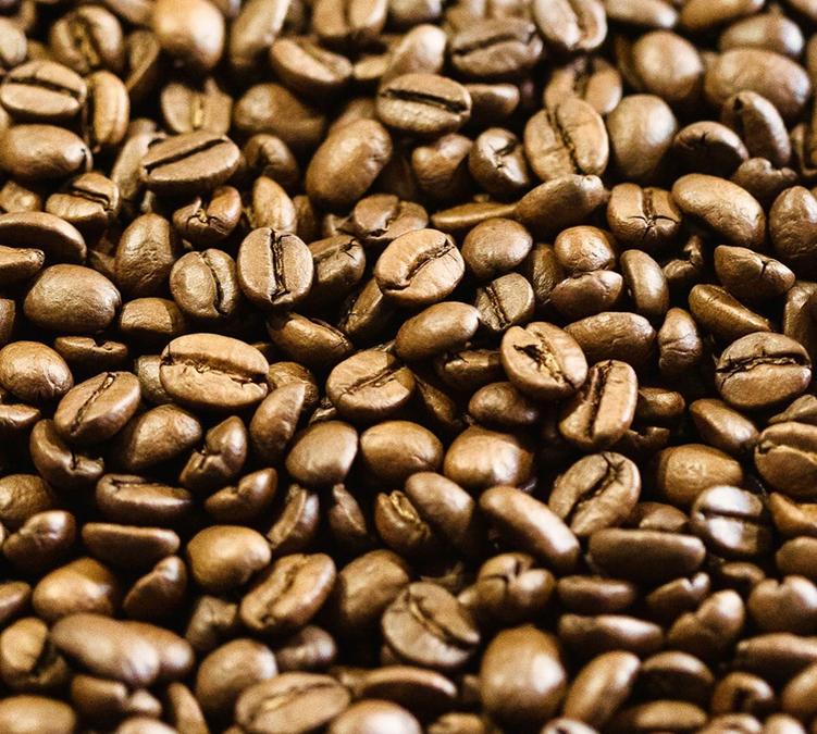 san miguel coffees cafe bourbon, caturra, catuai