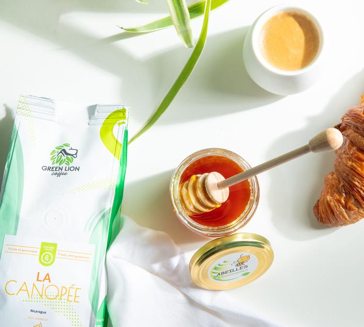 caff&egrave; in grani green lion coffee 1 kg la canopee