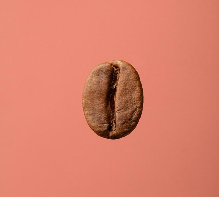 premium coffee beans highlighted