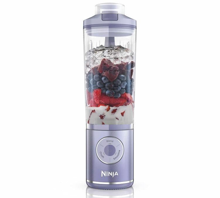 blender mixeur ninja violet