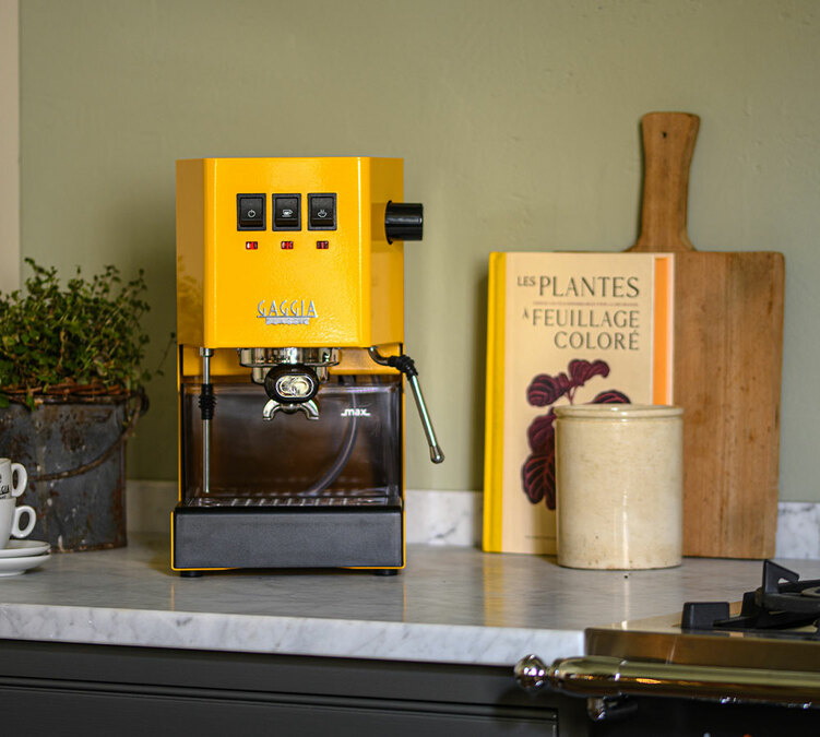funzionamento macchina caffe gaggia new classic evo Giallo