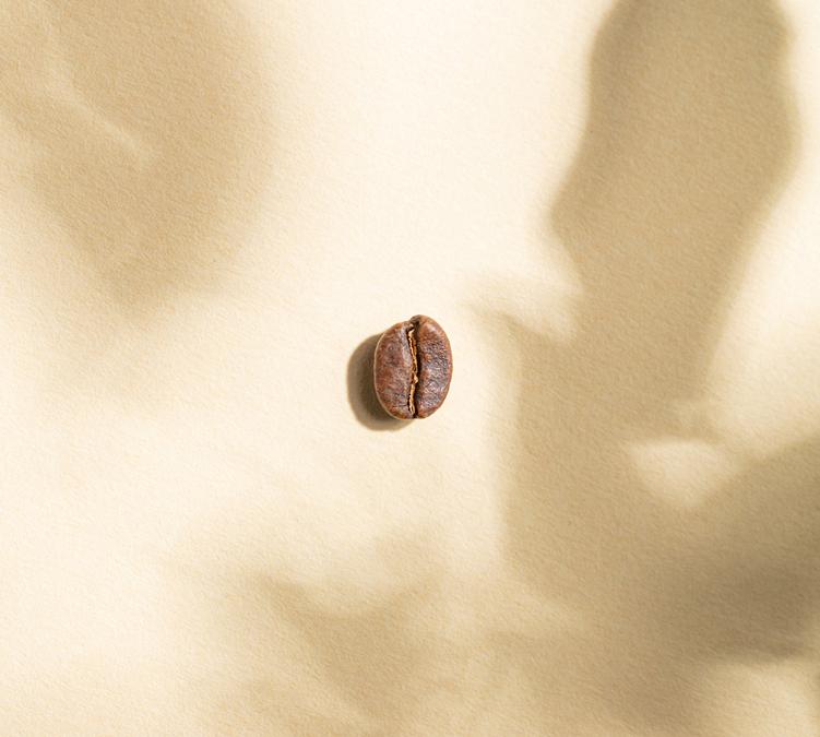 cafe moulu moonlight decafeine bio green lion coffee honduras biscuit epices
