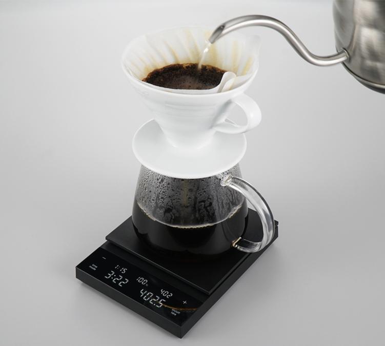 hario polaris scale
