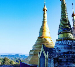 agroforesterie cafe responsable myanmar ywangan manussiha