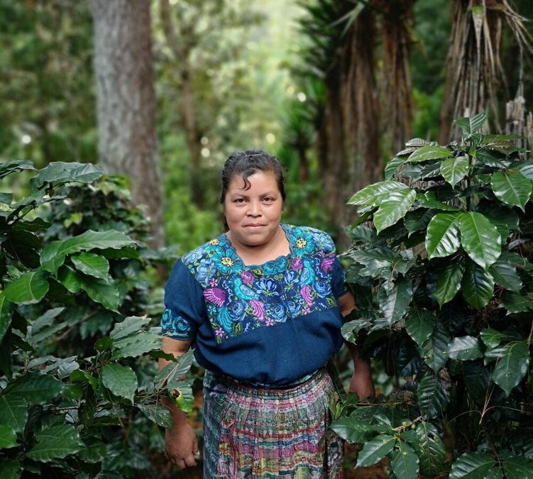 coffee beans la semeuse dona juana guatemala 500g
