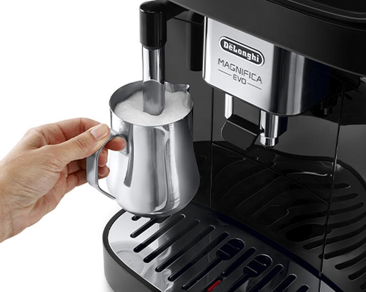 manutenzione delonghi magnifica evo ecab 290.21.b
