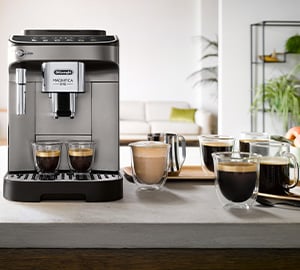 Machine a cafe a grain DeLonghi Magnifica EVO FEB 2942.Tb boissons